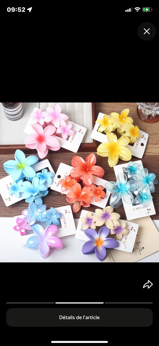 Pinces à cheveux fleurs colorées