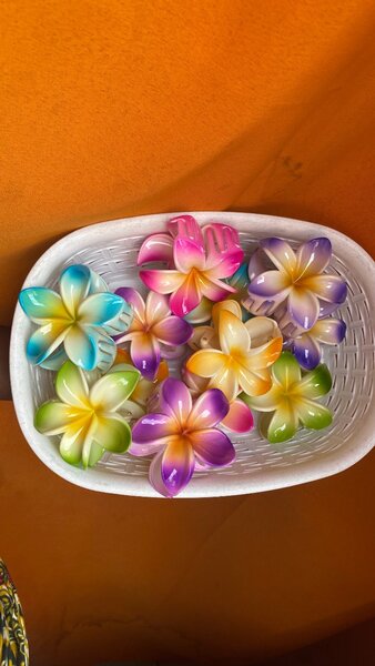 Épingles à cheveux fleurs tropicales