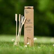 Piques en bambou 20 Cm