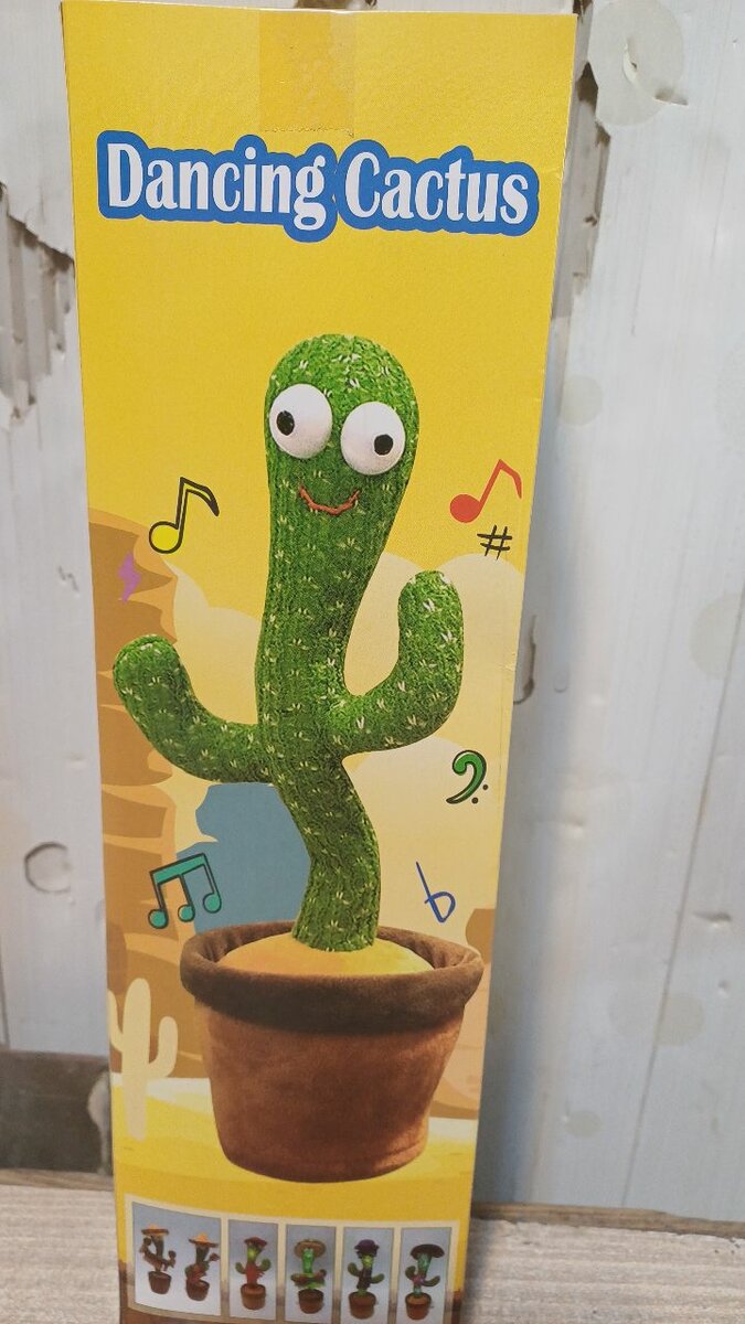 Dancing cactus