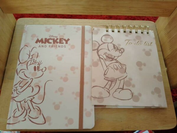 Mickey and minnie mouse themed notebook and to-do list