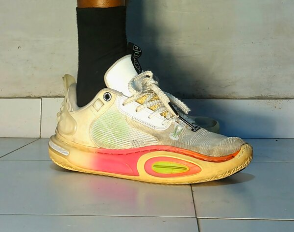 Chaussure basket WAY OF WADE