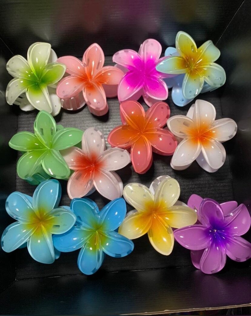 Pince à cheveux fleurs colorées