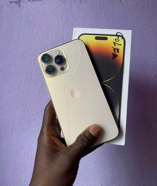 iPhone 15 pro max 264Go