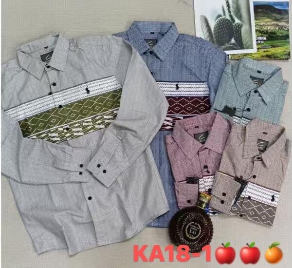 Chemise Homme Élégante