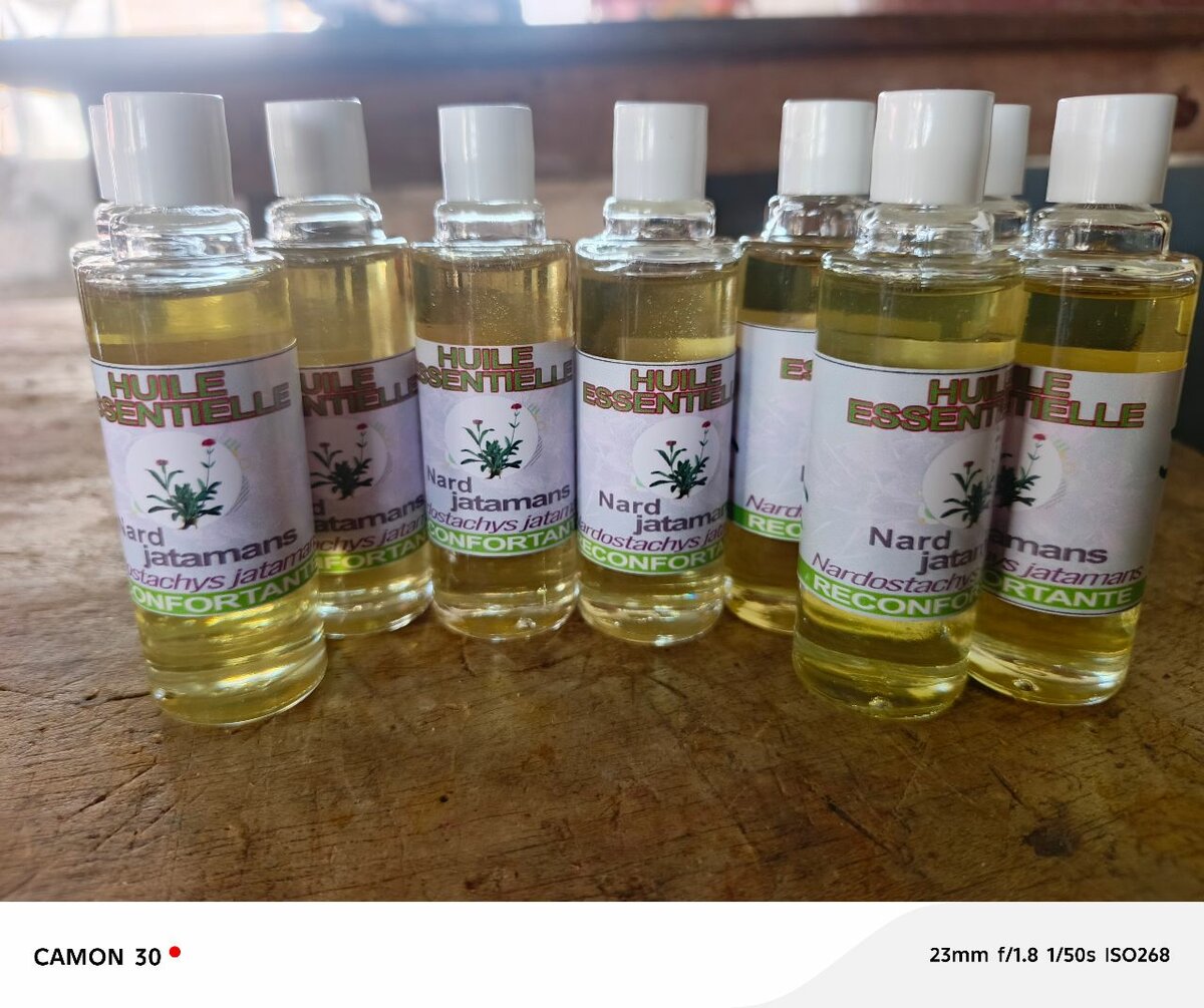 Huile Essentielle Nard Jatamansi