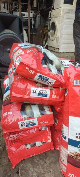 Croquettes au boeuf pour chien adulte