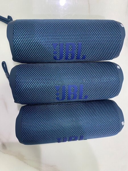 JBL Flip 6