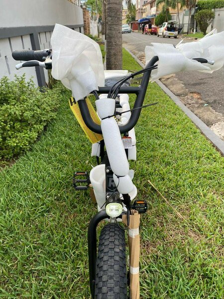 Rad Runner Electric Bike 48V