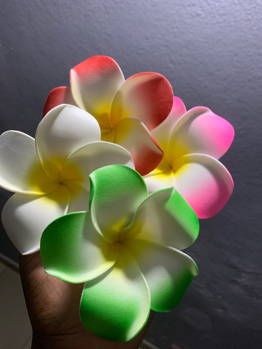 Pinces à cheveux fleurs colorées