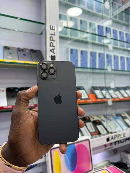 Apple casi neuf 12pro max