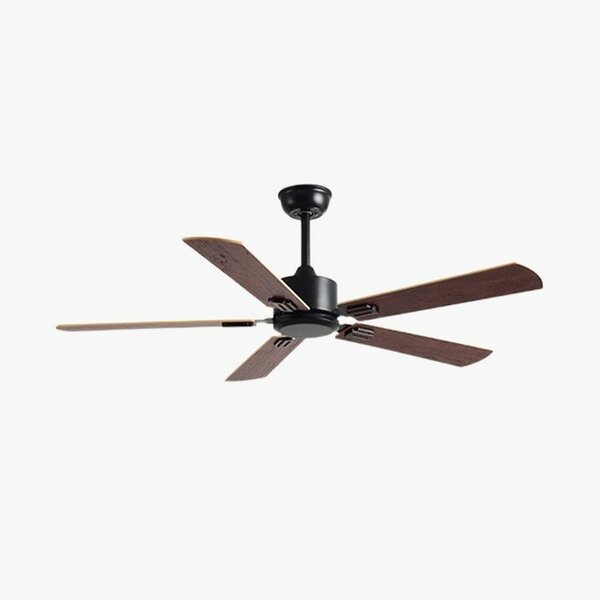 Ceiling fan