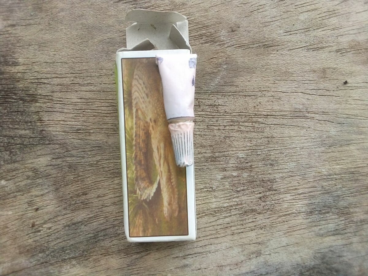 Crocodile bonne garçon