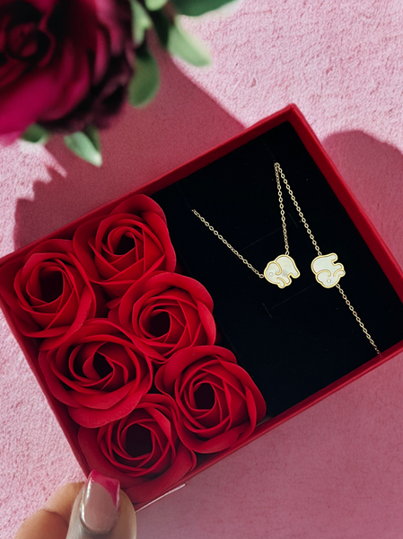 Ensemble chaîne + bracelet