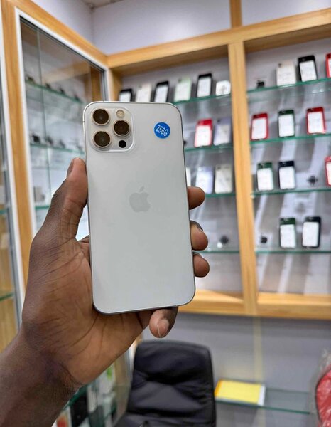 iPhone 12 Pro 256 Go Argent
