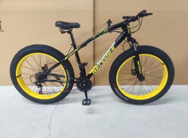 Vélo tout-terrain robuste