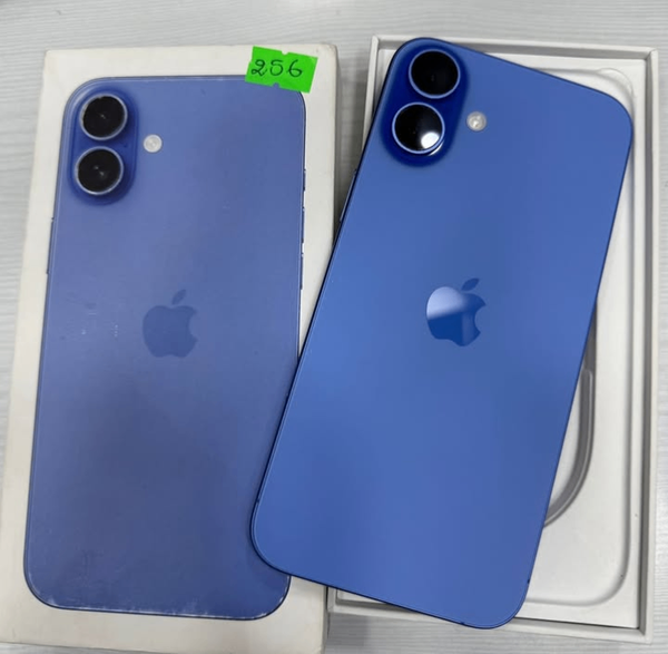 iPhone 256Go Bleu