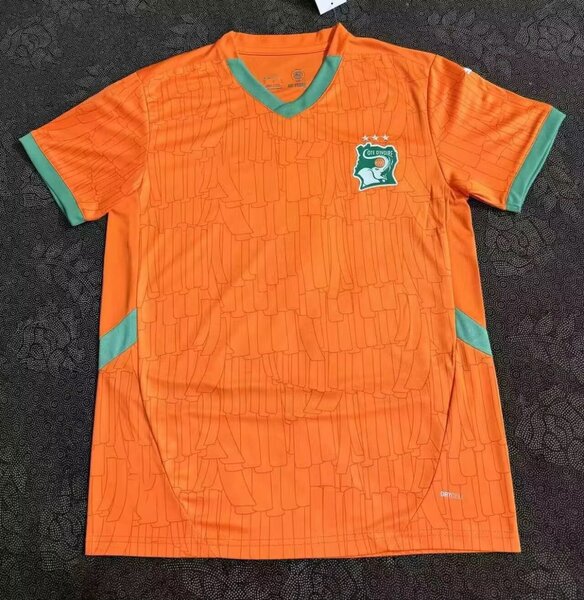Maillot de Côte dIvoire original