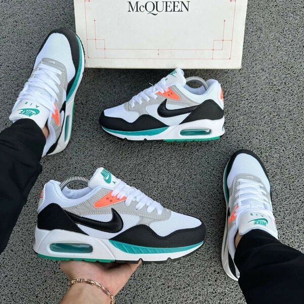 Baskets Nike Air Max élégantes