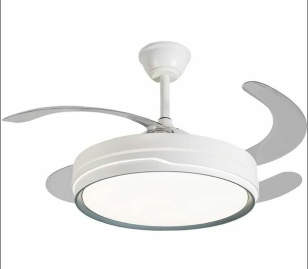 Fan light with Bluetooth