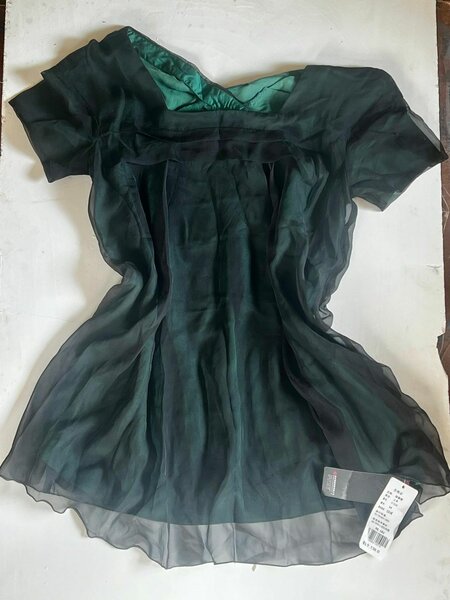 Elegant Sheer Green Blouse