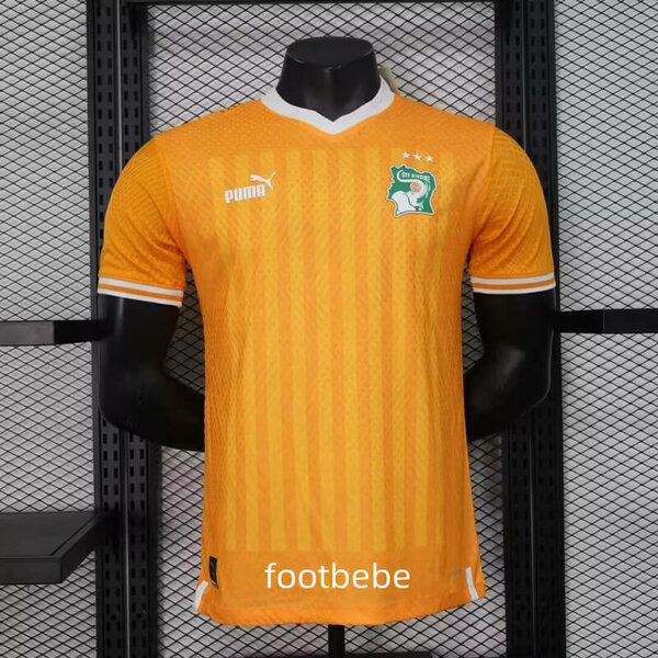 Maillot de Côte d'Ivoire