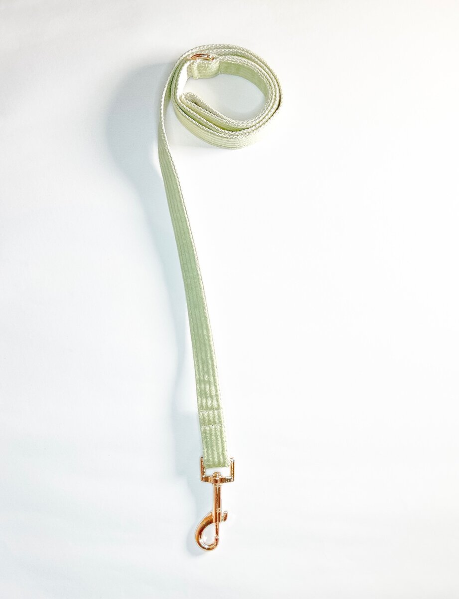 Harness Walk Set for dogs ( Fruit Green)