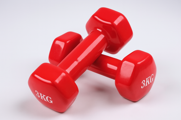 Haltères de fitness 3KG 2 pièc