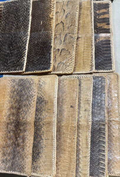 Bedou en peau de python