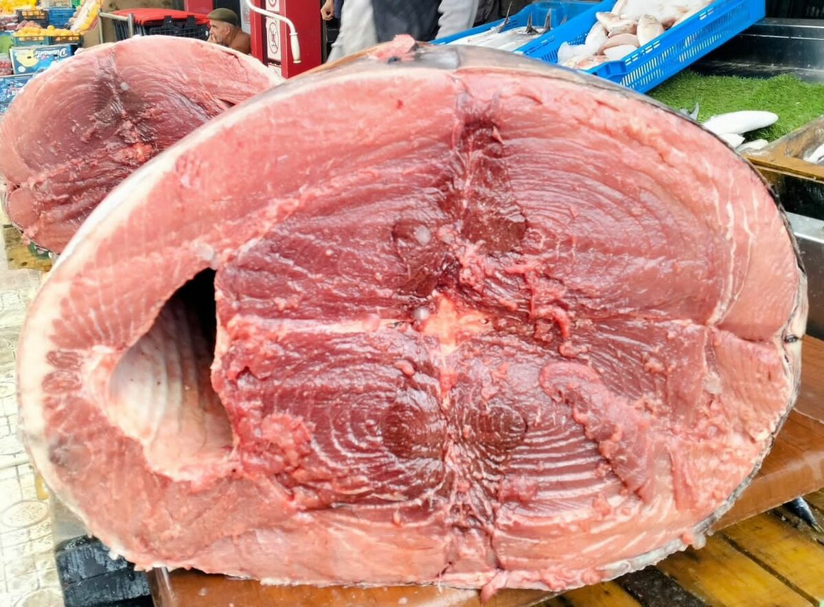 Thon rouge Frais de Qualité