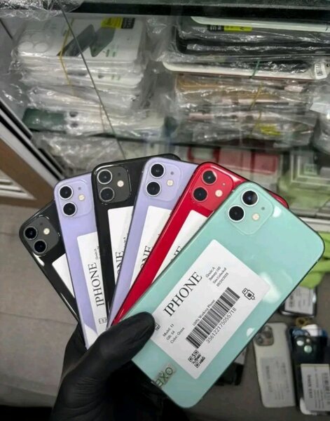 iPhone 11 couleurs variées