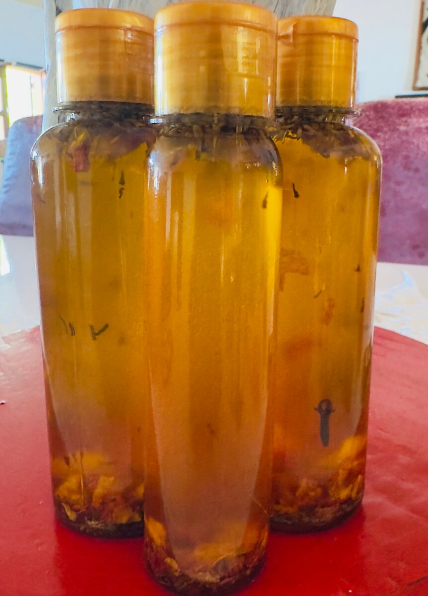 Huile Sublime Réparatrice Bio