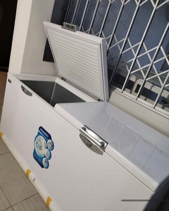 Congélateur coffre grande capacité