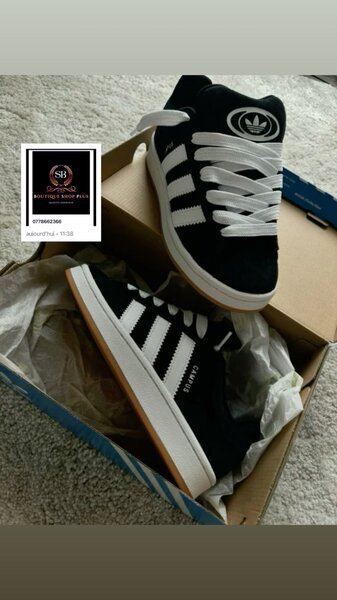 Basket adidas campus authentiq