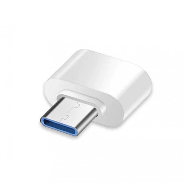 Adaptateur USB-C vers Micro USB