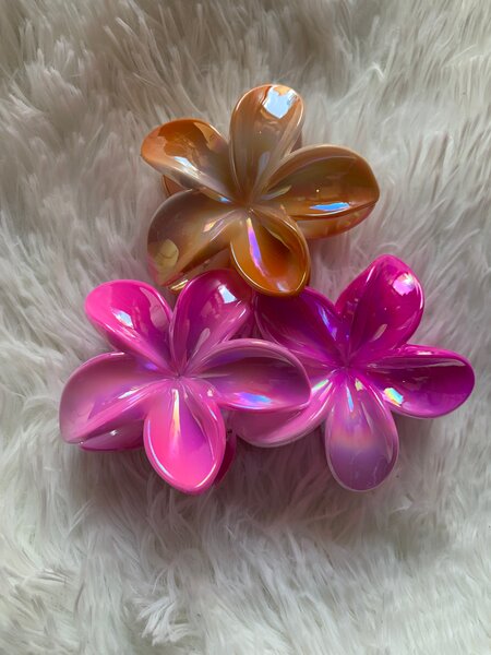 Pinces à cheveux fleurs brillantes