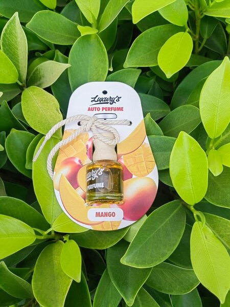 Luxury Car/Auto Air Freshener