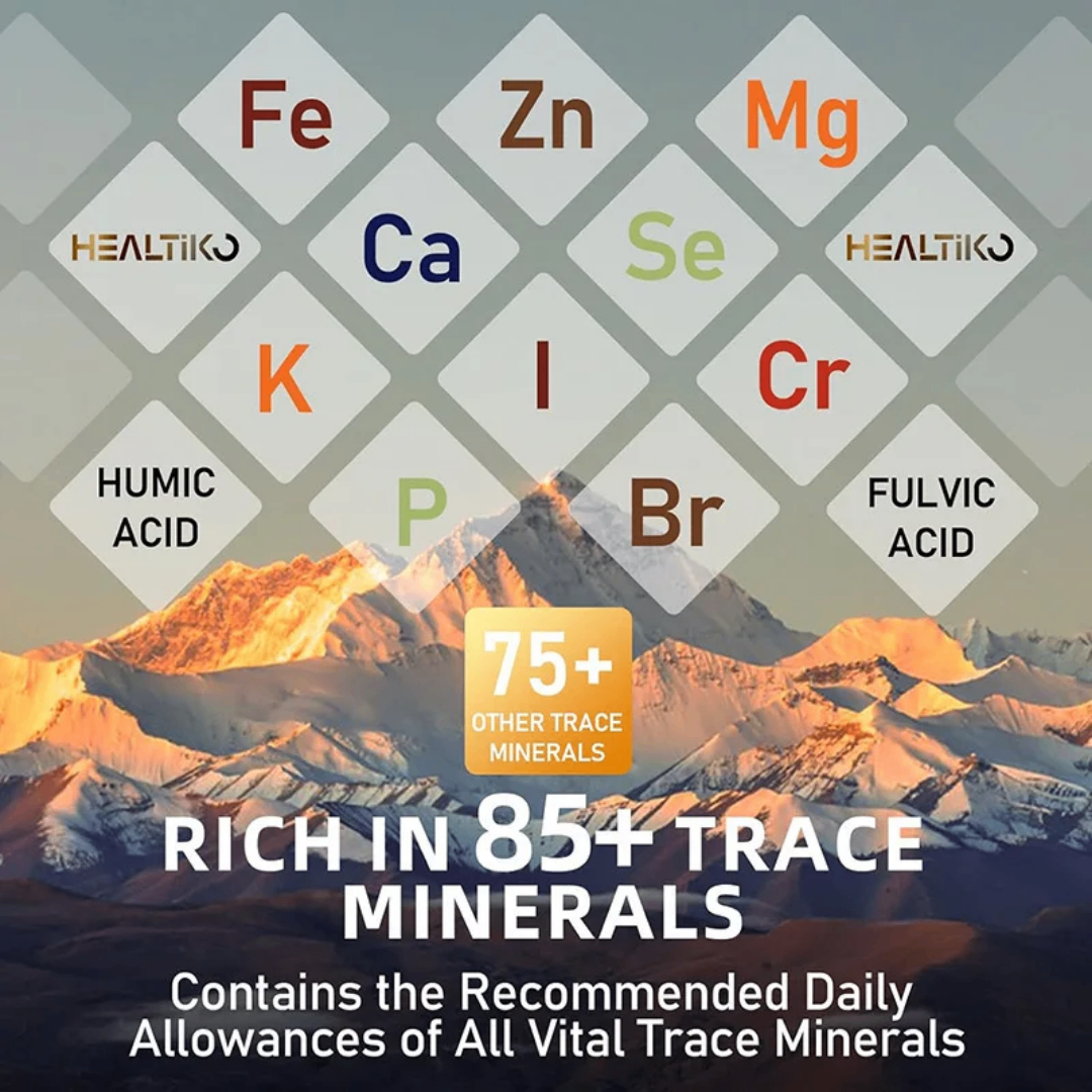 Shilajit Résine Pure dHymlaya