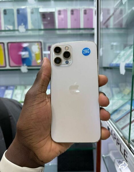 iPhone 12pro 256GB