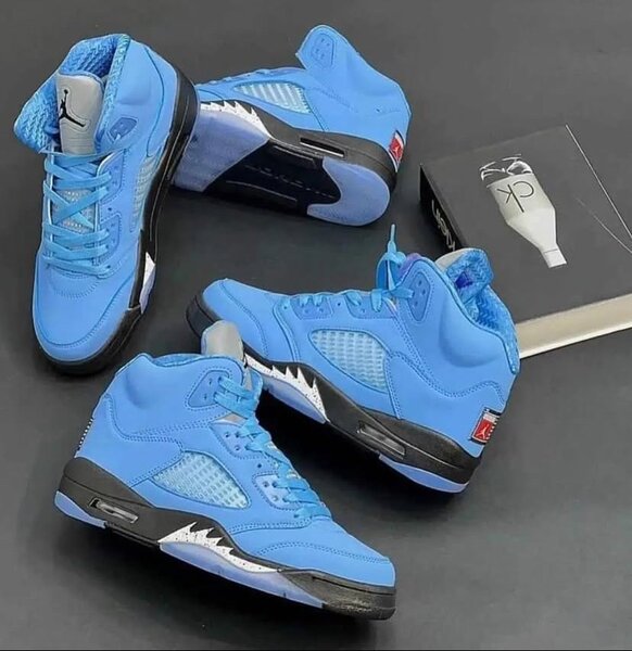 Air Jordan 5 retro