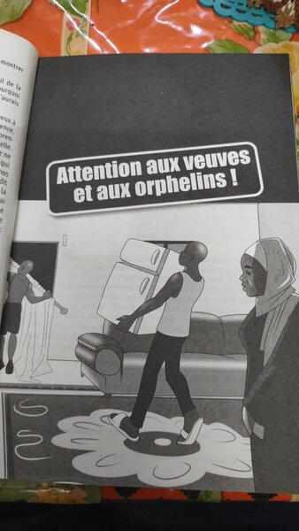 LES COUPS DE LA VIE TOME 8