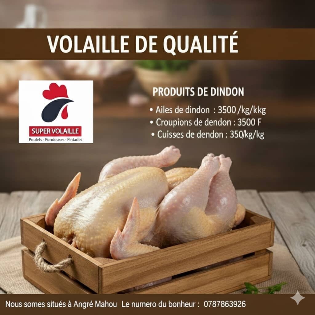 Dinde Fraîche Qualité Supérieure