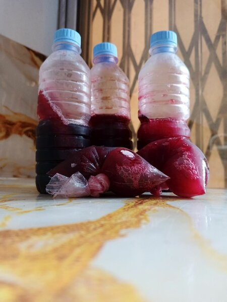 Boisson Glacée à la Baie Rouge