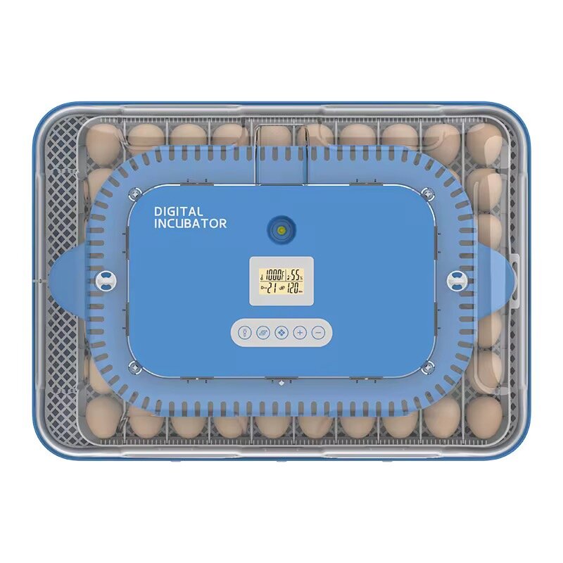 Couveuse automatique 70 œufs