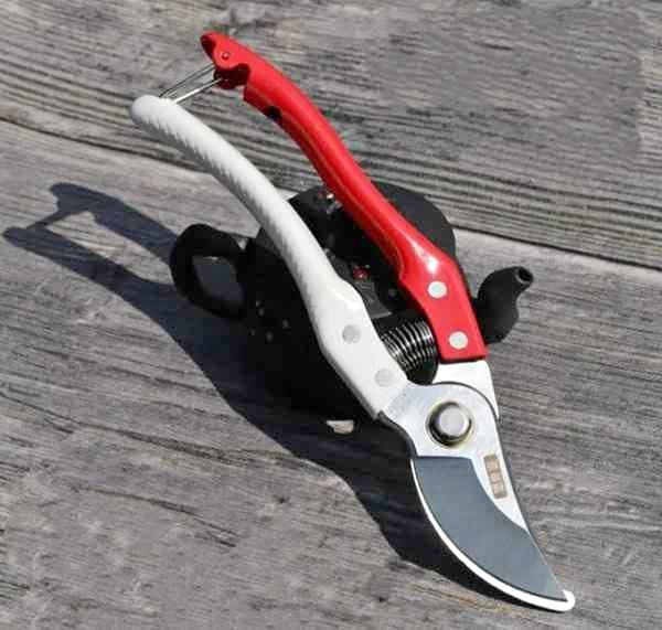  Stainless steel gardening scissor