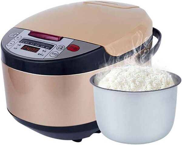 Cuisseur Professionnel de riz 5L