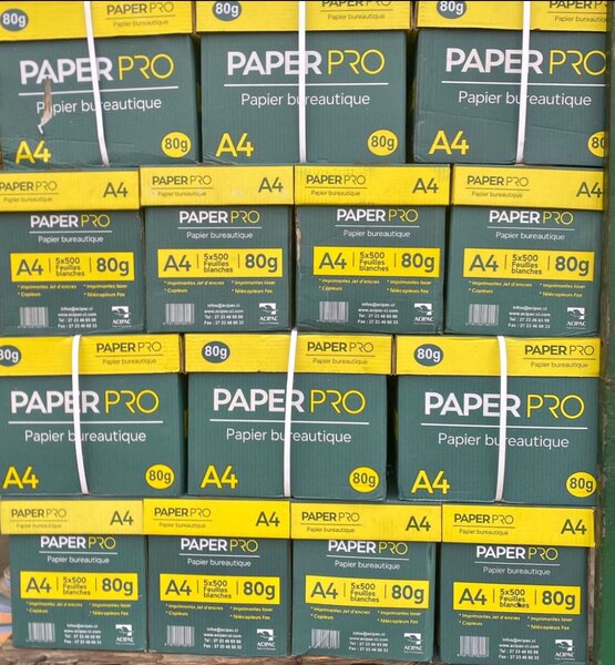 Papier Bureau A4 PaperPro 80g