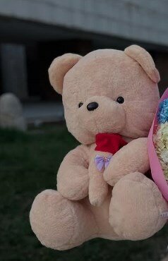 Мягкая игрушка