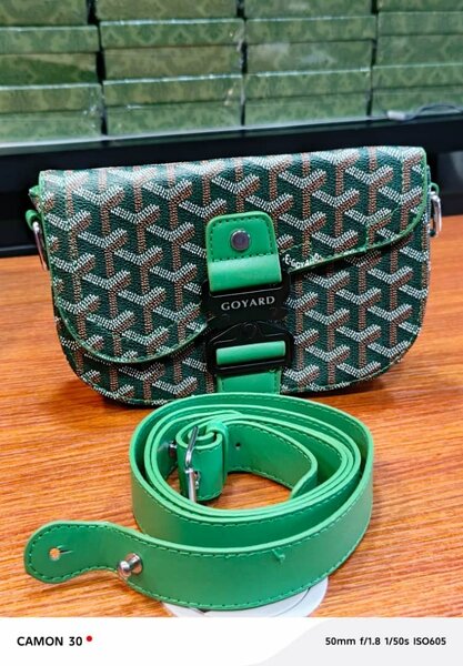 Sac bandoulière Goyard élégant