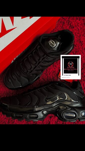 Basket nike tn authentique avec sa boîte